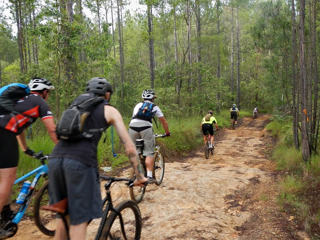 Beerburrum Trail