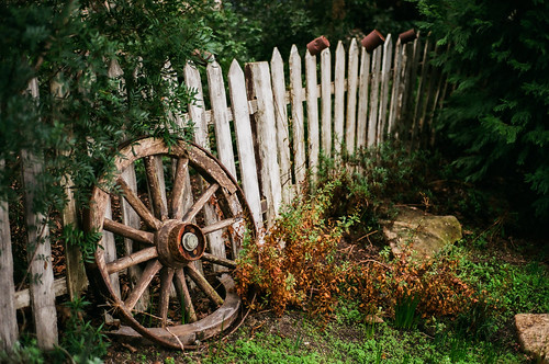 old film nature beautiful wheel fence garden outside nikon dof antique edenproject eden f80 magical