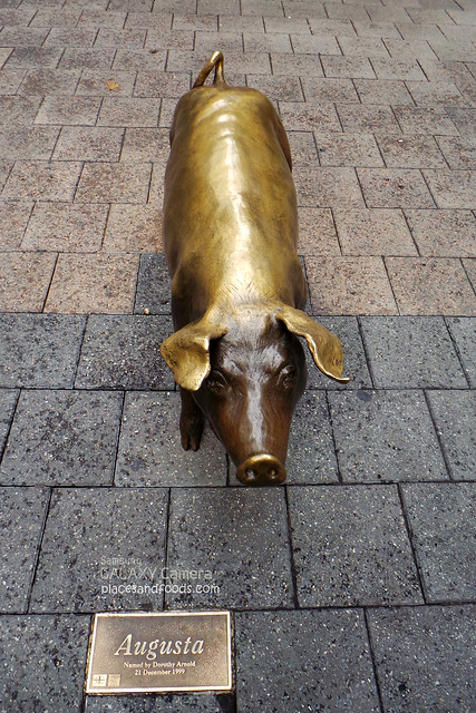 bronze pig augusta
