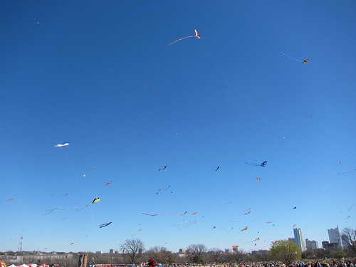 kites IMG_3106