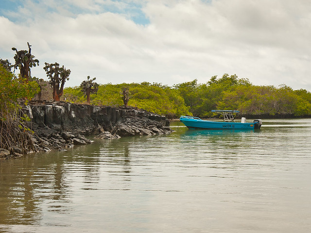 Tortuga Bay Galapagos