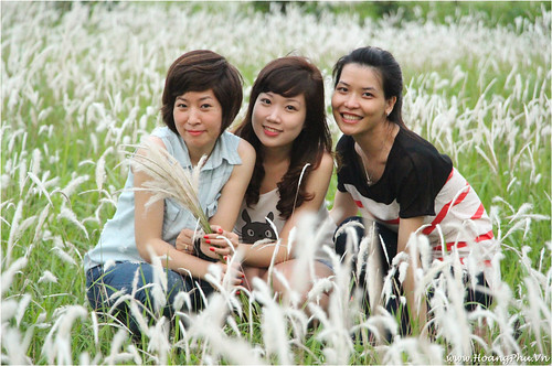 Chụp ảnh trên cánh đồng hoa lau ở KĐT Việt Hưng