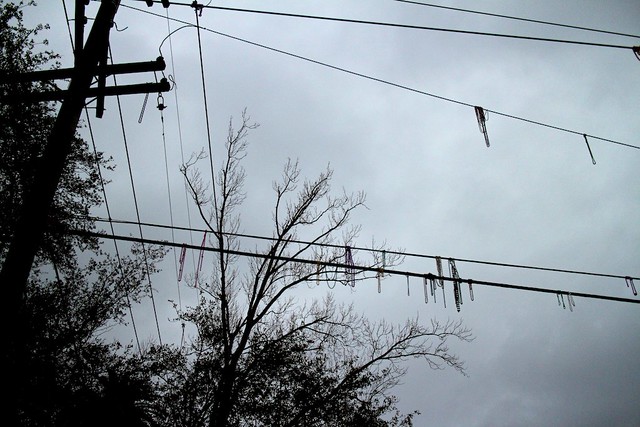 on the wires, new orleans
