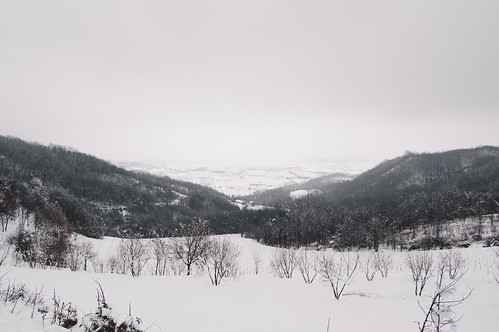 winter italy white snow cold nature landscapes countryside nikon italia view hills valley monferrato nikond40 vsco vscofilm