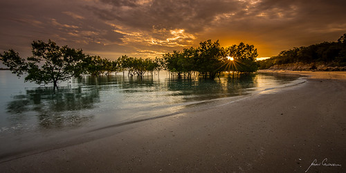 sunset cloud beach coast nt australia coastline mangroves northernterritory sunstar topend fanniebay the4elements thetopend
