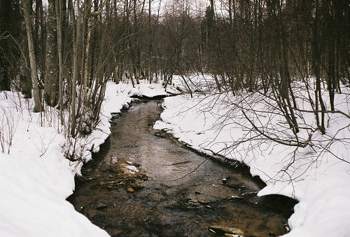 trees snow film water analog creek 35mm river landscape woods stream estonia zenit eesti zenitem