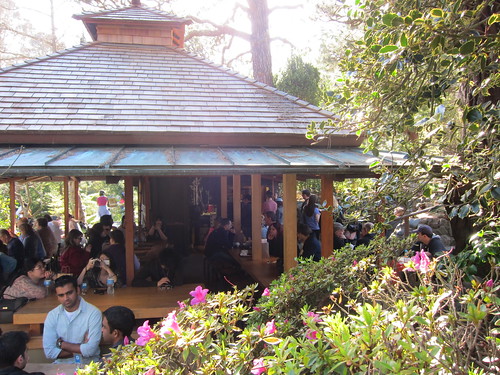 Golden Gate Park Japanese Tea Garden, San F… IMG_3238