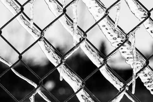 winter bw canada abstract ice monochrome fence frozen pattern quebec bokeh montreal brossard grayscale minimalism canoneos7d canonef70200mmf28lisiiusm