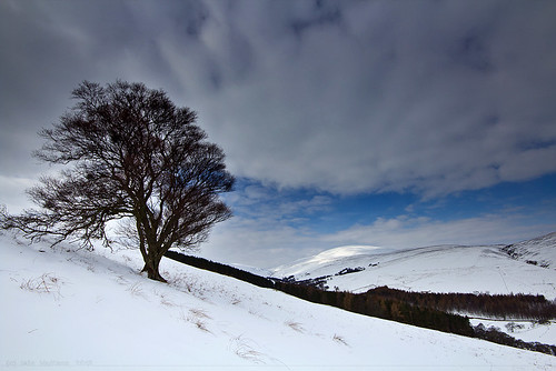sky cloud sunlight snow weather clouds landscape wideangle northumberland lonetree sigma1020mm cheviot cheviothills