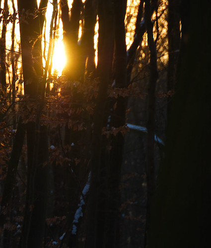 winter sunset sun nature sunrise germany natur nrw sonne sonnenaufgang detmold lippe