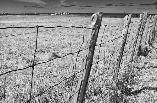 bw ontario electric fence photo wire horizon pasture fencing friday posts lakehuron fenceposts lookingwest hff bnpd brucenuclearpowerdevelopment happyfencefriday pagewirefence kincardineontariocanada viewfromupthehill