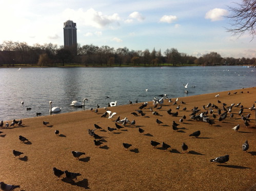 Hyde Park, London: February 2013