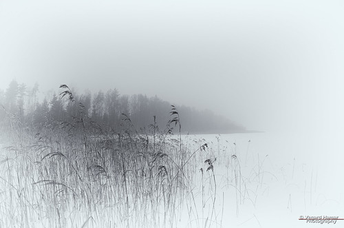 trees winter sky bw mist lake snow ski ice water norway fog reeds lens landscape norge nikon frost seasons no wideangle nikkor akershus locations define niksoftware 1685mm d7000 silverefexpro