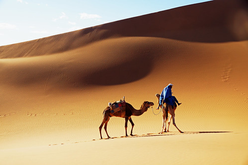 blue sun sahara animal animals landscape sand scenery view ride desert sony dune dream tourist ombre camel land imagination rides ripples rider ouarzazate zagora hypnotic touareg outstanding a77 marroco nomade caravane dromadaire chameau mamals mhamid wunderschön tamegroute 18135mm chamelier chevaucher hommesbleues bestcapturesaoi sonya77 elitegalleryaoi