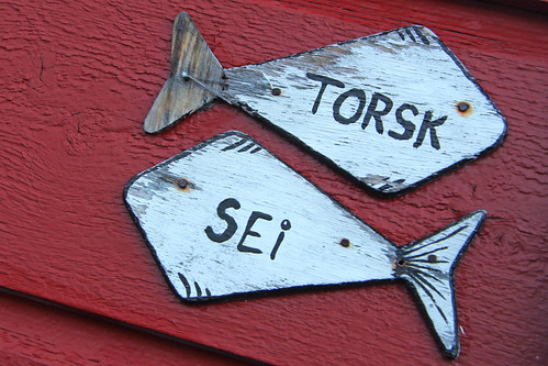 signs norway norge europe names february sei scandinavian vesterålen torsk nordland meteorry 2013 nordlandfylke norwège ringstadsjøhus