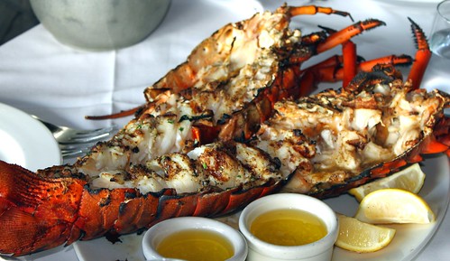 Grilled Lobster