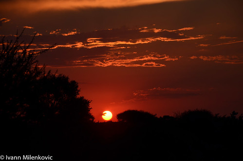 africa sunset southafrica krugernationalpark coucherdesoleil krugerpark limpopo afrique afriquedusud letaba parcnationalkruger
