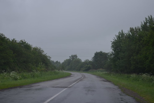 road tree lvivregion oleksandrbyelkin visittoskhodnitsasummer2012