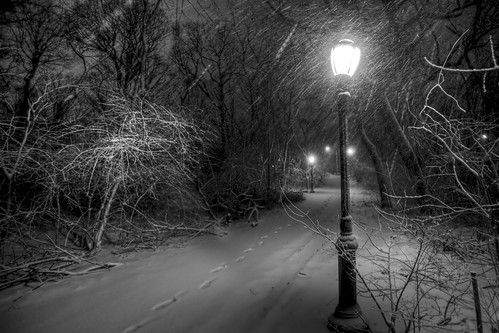 newyorkcity snow weather night lights path snowstorm footprints queens gothamist lamps forestpark lampposts