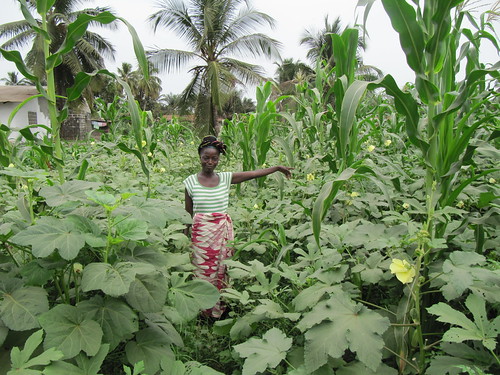 Food security & nutrition programme, Greater Monrovia, Liberia