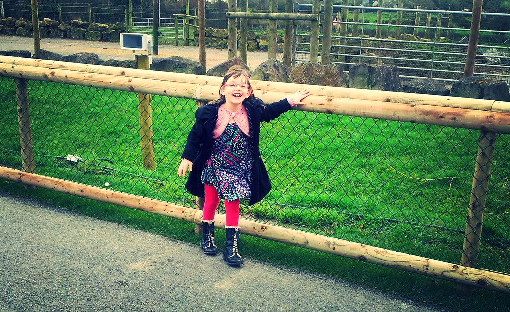 , Folly Farm with Country Kids