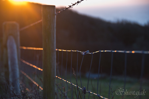 light sunlight sunrise fence dawn wire pentax bokeh barbedwire posts sunup daybreak k5 fenceposts tamron18250mm fencefriday pentaxk5