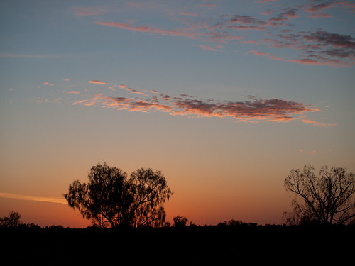 light plant tree nature silhouette sunrise atmosphere australia places uluru australasia