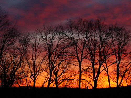 morning trees clouds sunrise canon powershot a510 paintedsky awesomegod smack53