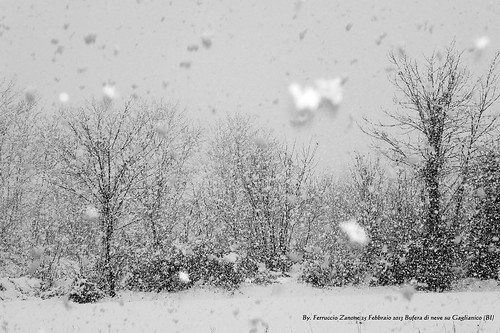 neve biella febbraio bufera gaglianico biellese galvanico