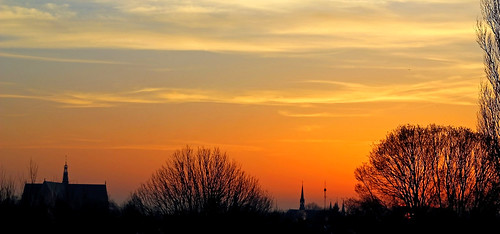 morning trees sky orange colors silhouette yellow clouds sunrise canon silhouettes alkmaar canoneos coth5 mygearandme mygearandmepremium mygearandmebronze