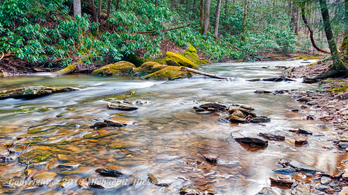 water geotagged unitedstates hiking tennessee backpacking pallmall hdr tennesseestateparks pickettstatepark thompsoncreek camera:make=canon exif:make=canon exif:isospeed=100 exif:focallength=18mm sigma18200mmf3563osdc canon7d geo:state=tennessee nashvillehikingmeetup hiddenpassagetrail sharpplace geo:countrys=unitedstates camera:model=canoneos7d exif:model=canoneos7d exif:aperture=ƒ16 hdrefexpro2 geo:city=pallmall geo:lon=84774721666667 geo:lat=36574721666667 geo:lat=3657483669 geo:lon=8477478092
