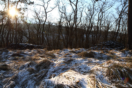 winter sun forest cplfilter 2013 efs1755 kamyk canoneos7d jezerna zduchovice