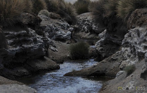 stream desert altiplano