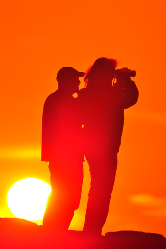 sun sunrise volunteers silhouettes backlit birders birdwatching backlighting borregosprings naturelovers birdwatchers coloradodesert borregovalleyhawkwatch swansenshawk