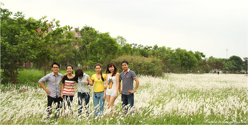 Chụp ảnh trên cánh đồng hoa lau ở KĐT Việt Hưng