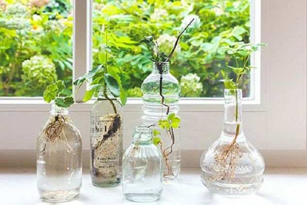 14 Fresh Mini Indoor Gardens That Will Surprise You