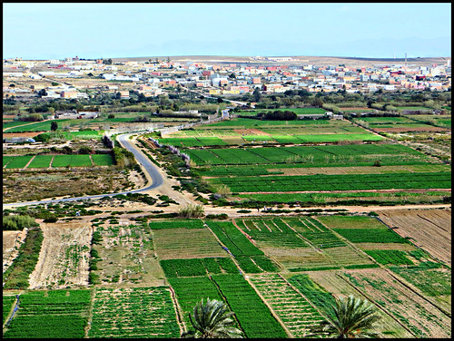 nature river landscape town nationalpark estuary massa morocco valley maroc fields crops agriculture marruecos marokko cultivation oued 2013 lemaroc 2010s massadraa