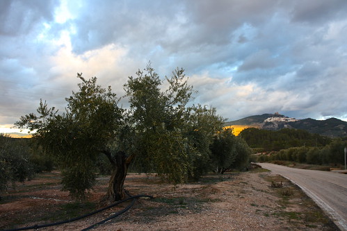 sierradesegura mountains jaen trees andalucia spain canonefs1855mmf3556is seguradelasierra sunset canoneosrebelxs