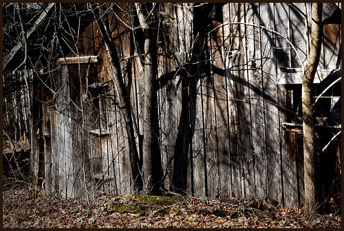 shadow tree abandoned barn rural indiana weathered
