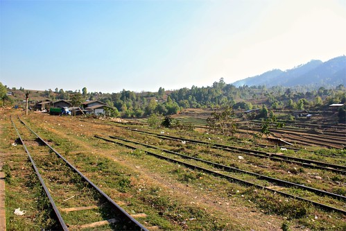 rice paddies beyond the tracks