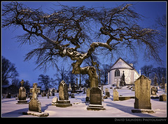 4am in a cemetery with a scary tree!