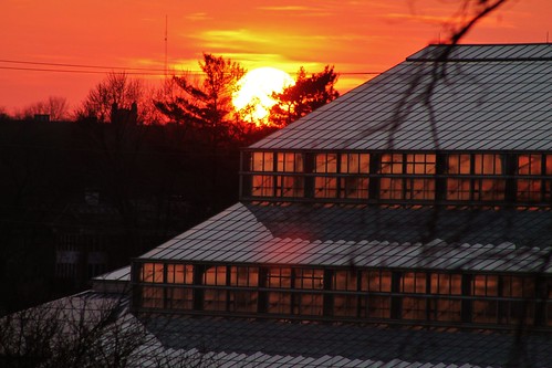 parks sunsets il rockford nicholasconservatory dlphotography dandlphotography