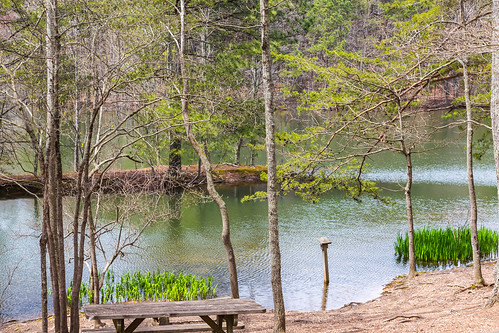 mountain lake green nature view unitedstates huntsville alabama trail