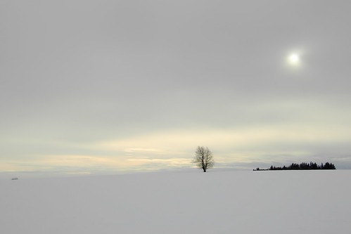 winter nature landscape pastel zen compact traveler dc8300 flickrchallengegroup flickrchallengewinner