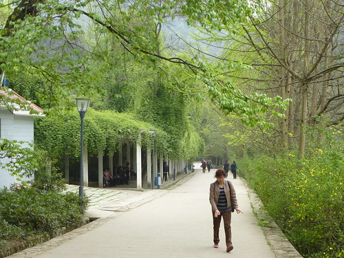 Guizhou13-Guiyang-Parc Qianling (37)
