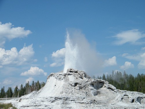 Castle Geyser shoots water into the air, Upper Geyser Basin, Yellowstone National Park, Wyoming