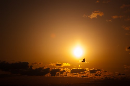 sunset sun scott arkansas buzzard petax 100200 dunson millwoodlake justpentax southwestarkansas pentaxart scottdunson