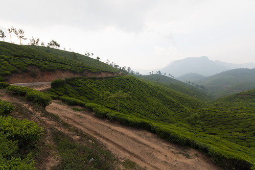 india station tea top plantation inde munnar 2013
