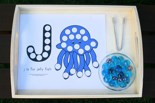J is for Jellyfish Activity