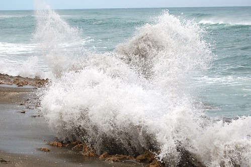 florida martincounty atlanticocean blowingrockspreserve anastasialimestone barrierisland beach thenatureconservancy